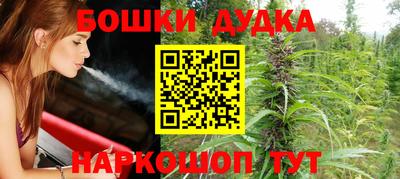 гашик Донецк