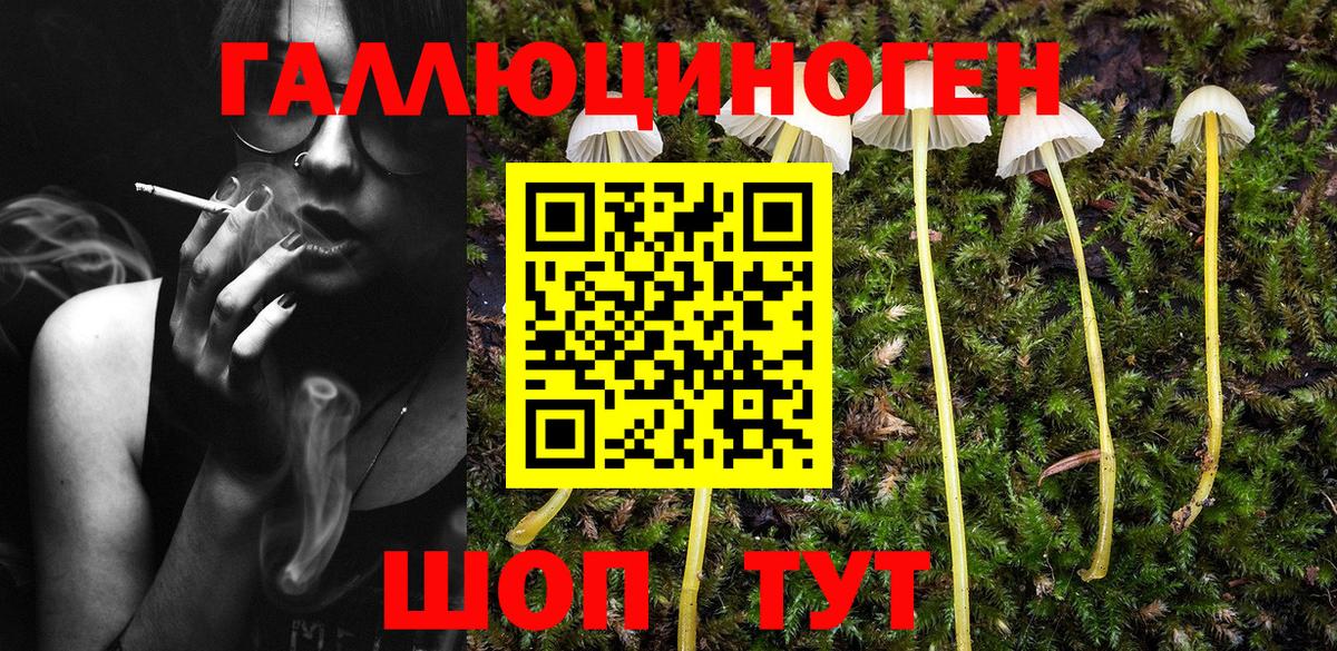 Лосино-Петровский  Псилоцибиновые грибы Cubensis  Псилоцибиновые грибы Psilocybine cubensis  Вход с VPN 